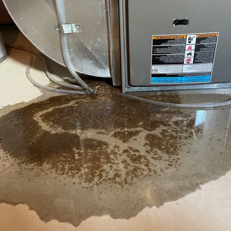 Pipe Burst and Leak Restoration in McClain County, OK